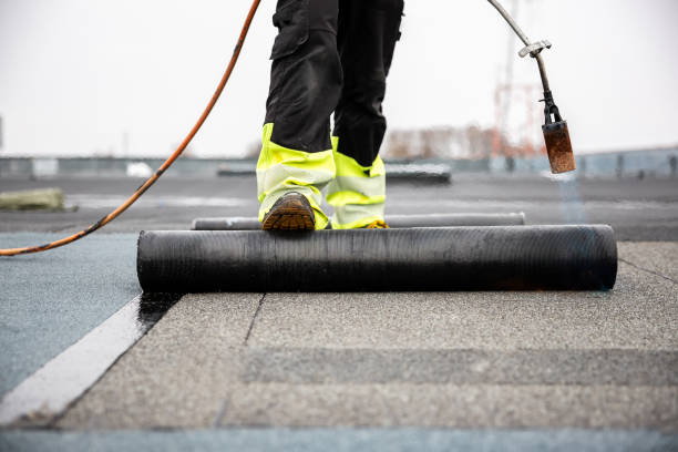 Best Gutter Installation and Repair  in Cohoes, NY